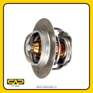 Nissan Thermostat (76 °C)